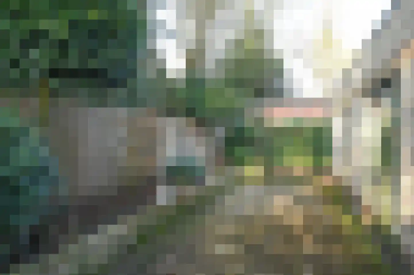 Van Hogendorplaan 64 Huizen thumbnail 23