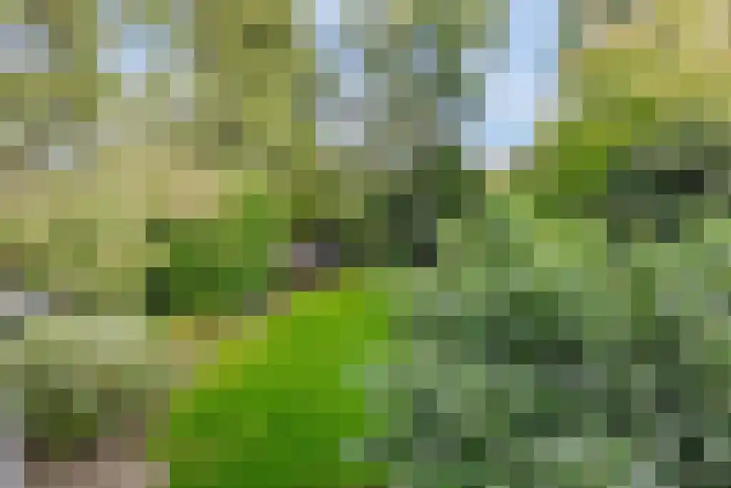 Van Hogendorplaan 7 Amersfoort thumbnail 30