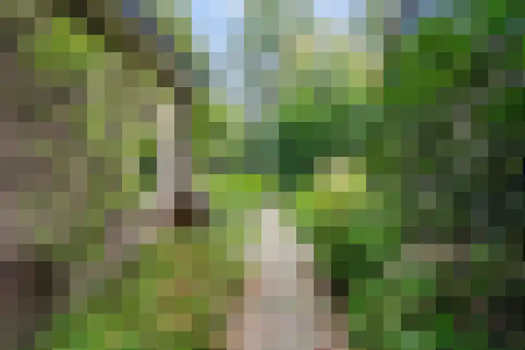 Van Hogendorplaan 7 Amersfoort thumbnail 46