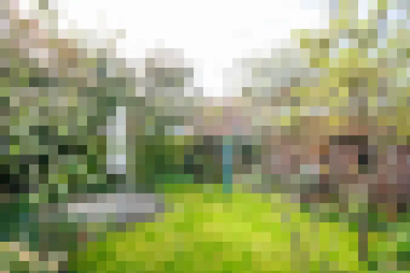 van Hogendorplaan 71 Doetinchem thumbnail 21