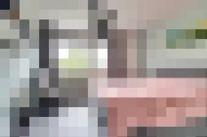 Van Hogendorplaan 72 Goes thumbnail 10