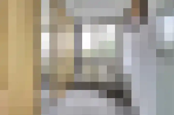 Van Hogendorplaan 72 Goes thumbnail 11