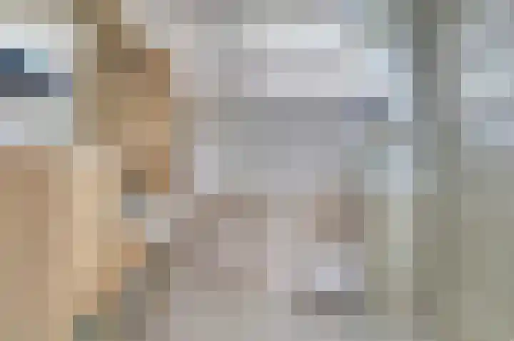 Van Hogendorplaan 72 Goes thumbnail 12