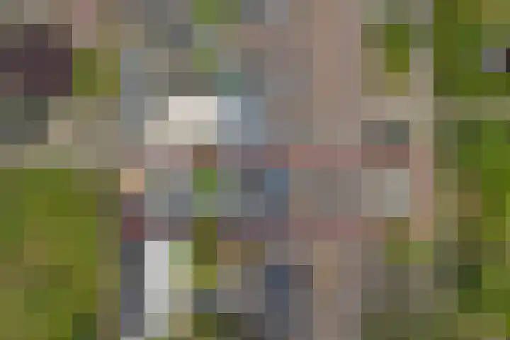 Van Hogendorplaan 72 Goes thumbnail 18