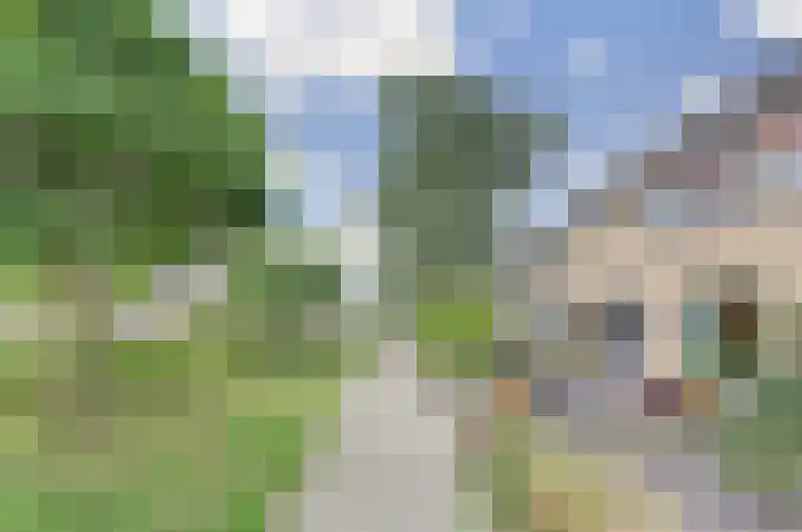 Van Hogendorplaan 72 Goes thumbnail 19