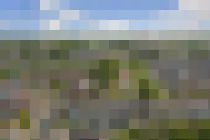 Van Hogendorplaan 72 Goes thumbnail 20