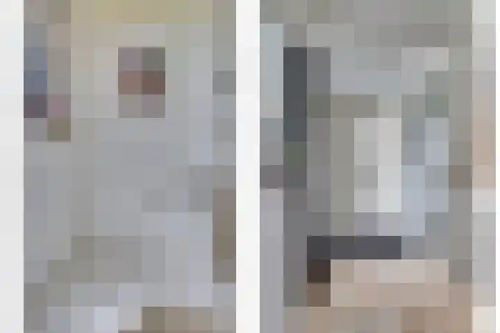 Van Hogendorplaan 72 Goes thumbnail 21
