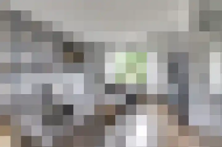 Van Hogendorplaan 72 Goes thumbnail 22