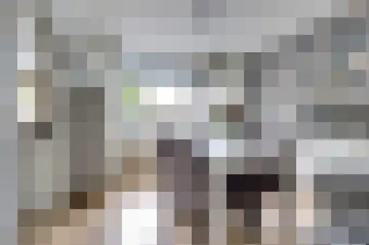 Van Hogendorplaan 72 Goes thumbnail 23