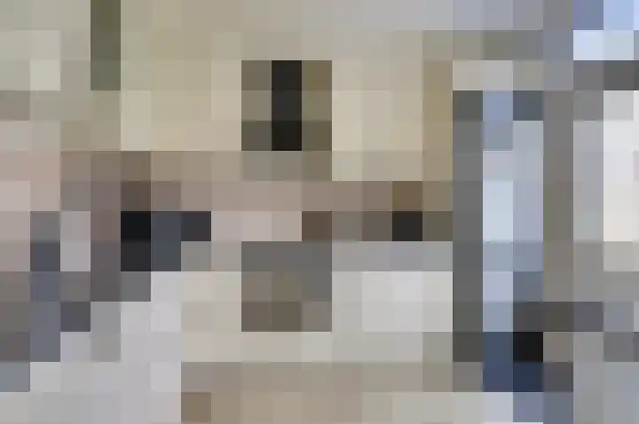 Van Hogendorplaan 72 Goes thumbnail 24