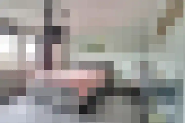 Van Hogendorplaan 72 Goes thumbnail 25