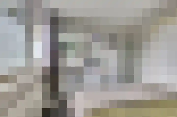 Van Hogendorplaan 72 Goes thumbnail 26