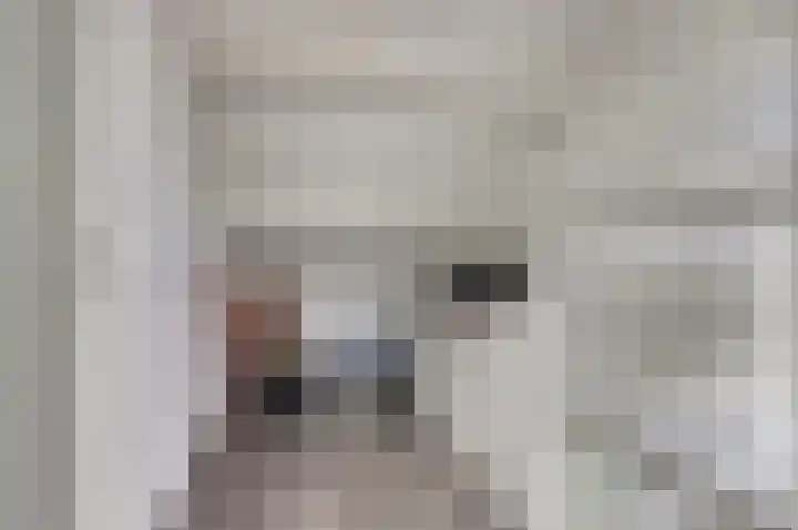 Van Hogendorplaan 72 Goes thumbnail 27