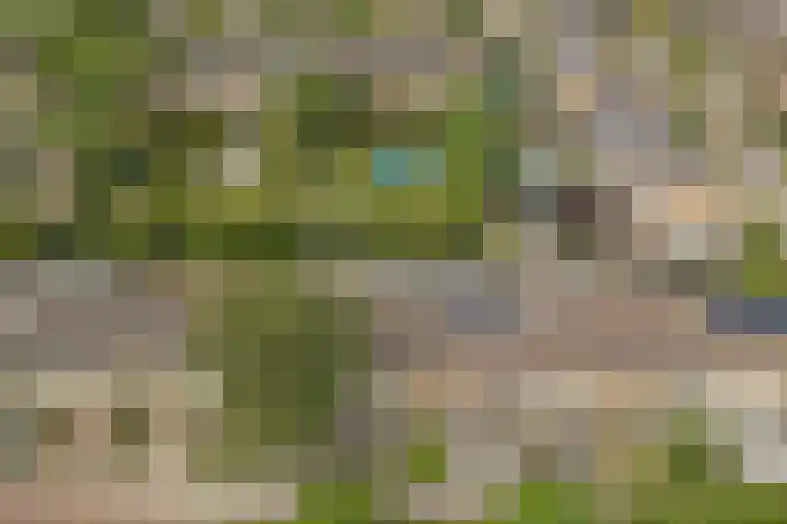 Van Hogendorplaan 72 Goes thumbnail 29