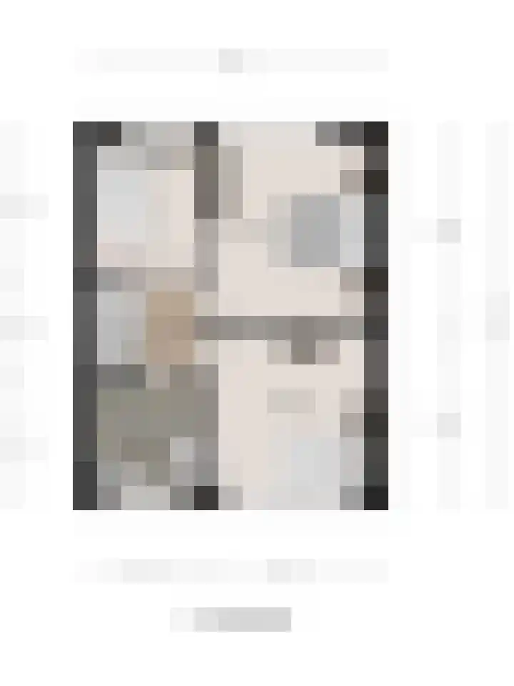 Van Hogendorplaan 72 Goes thumbnail 30