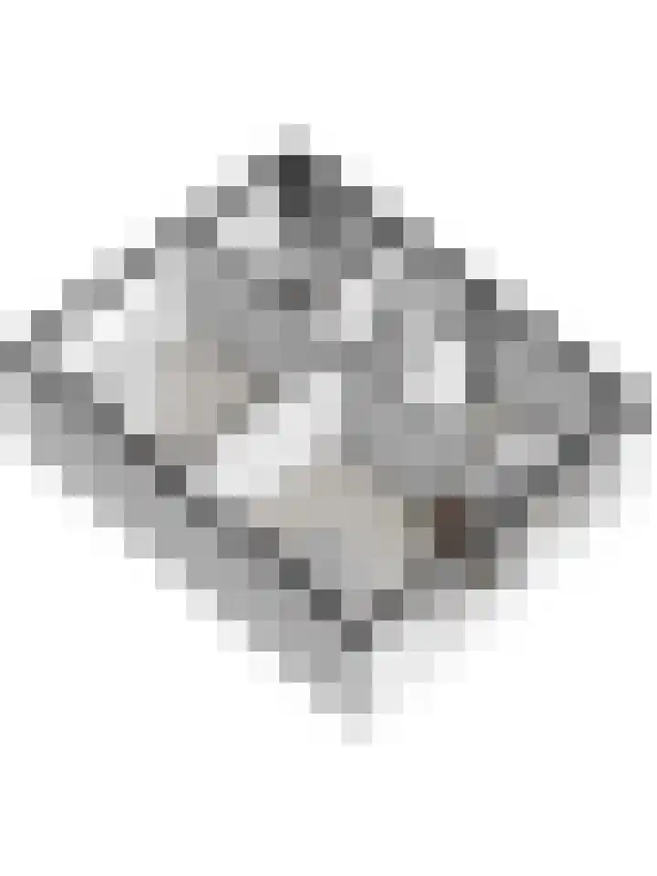 Van Hogendorplaan 72 Goes thumbnail 31