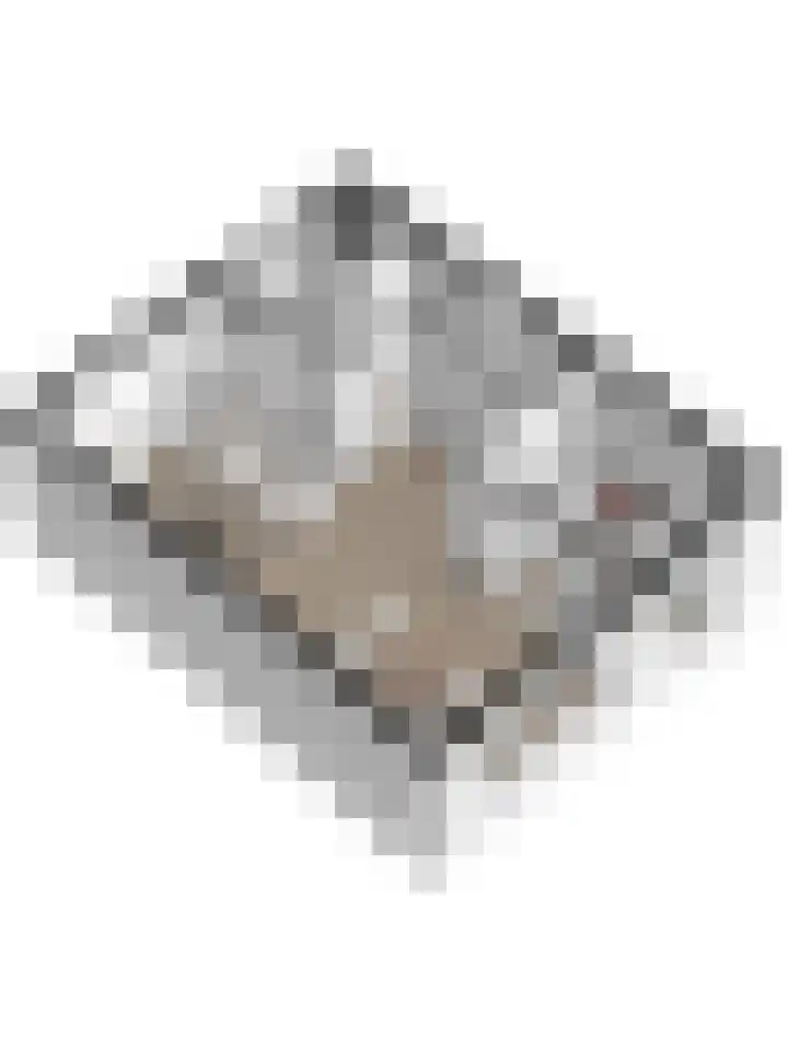Van Hogendorplaan 72 Goes thumbnail 32