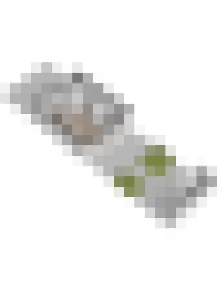 Van Hogendorplaan 72 Goes thumbnail 33