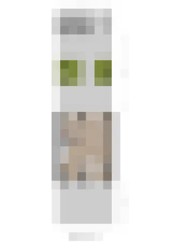 Van Hogendorplaan 72 Goes thumbnail 37