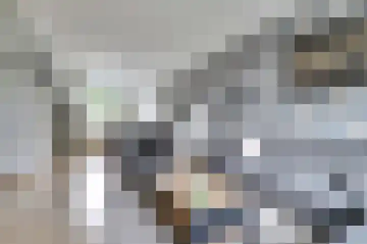 Van Hogendorplaan 72 Goes thumbnail 4