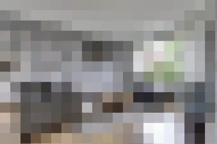 Van Hogendorplaan 72 Goes thumbnail 5