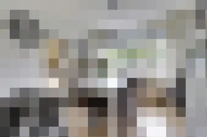 Van Hogendorplaan 72 Goes thumbnail 6