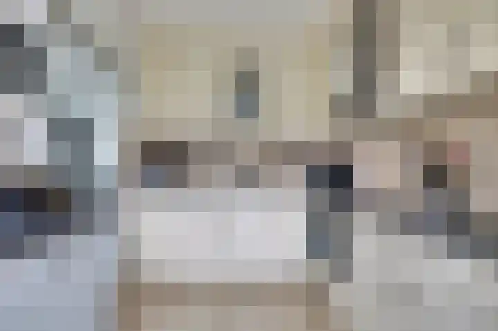 Van Hogendorplaan 72 Goes thumbnail 7