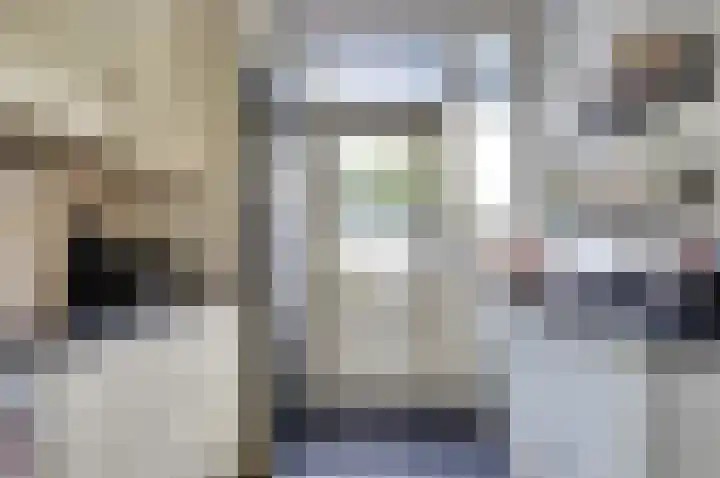 Van Hogendorplaan 72 Goes thumbnail 8