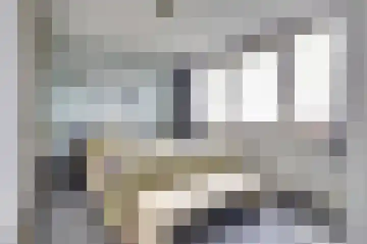 Van Hogendorplaan 72 Goes thumbnail 9