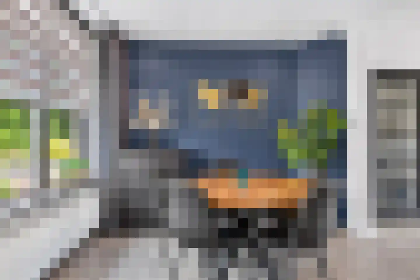 van Hogendorplaan 9 Lochem thumbnail 12