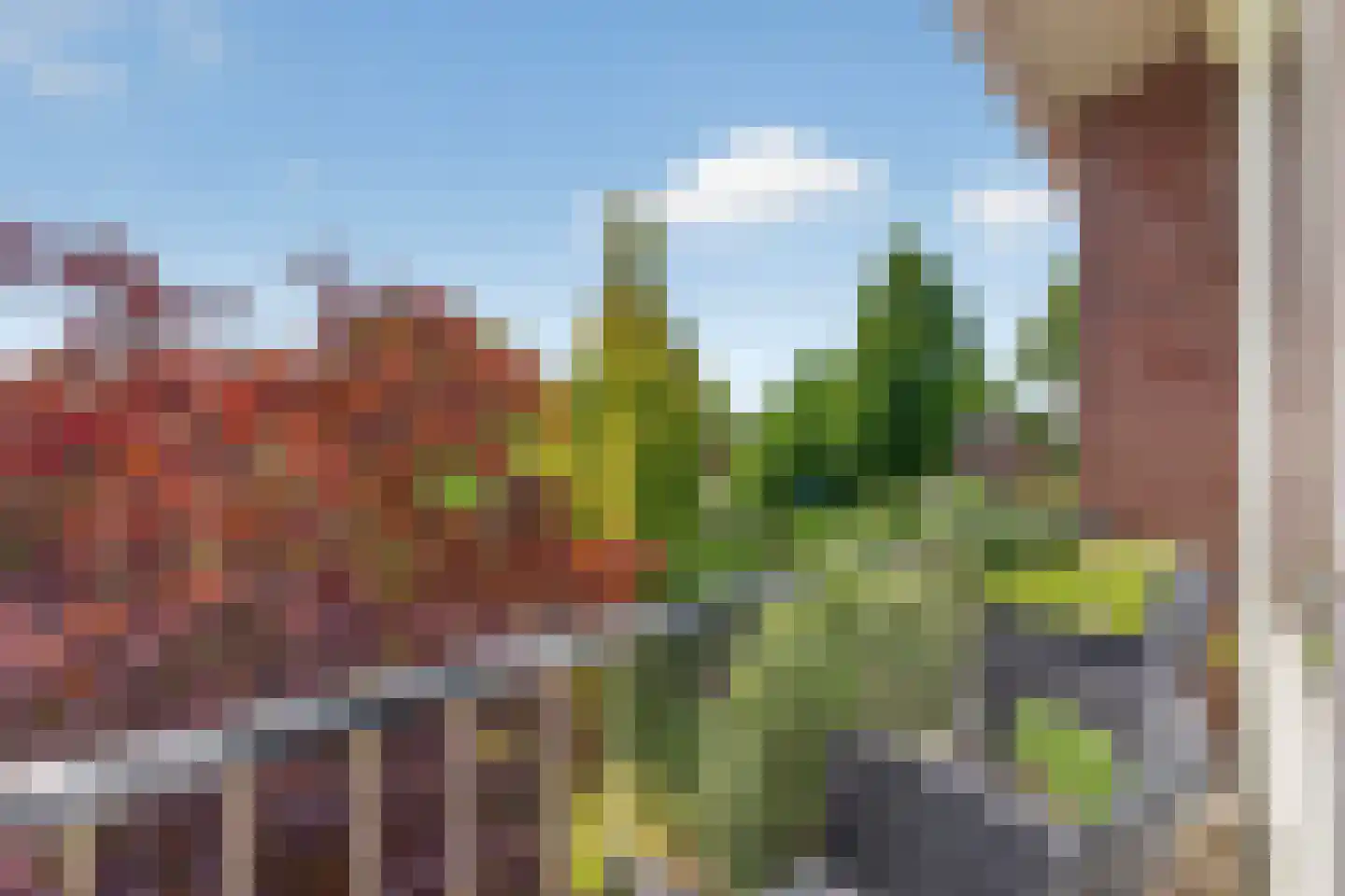van Hogendorplaan 9 Lochem thumbnail 15
