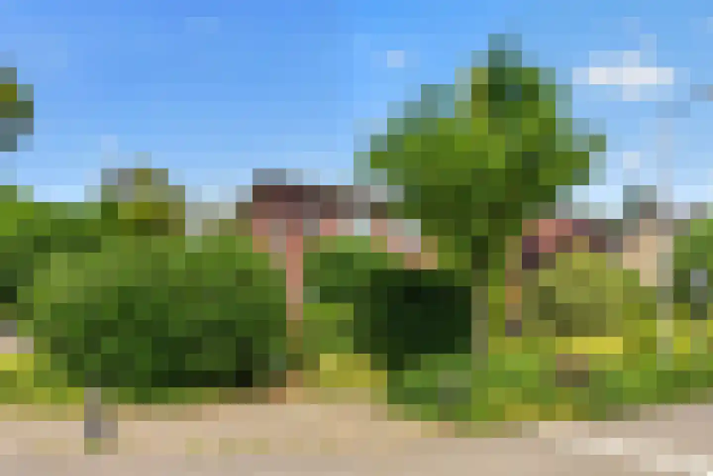 van Hogendorplaan 9 Lochem thumbnail 33
