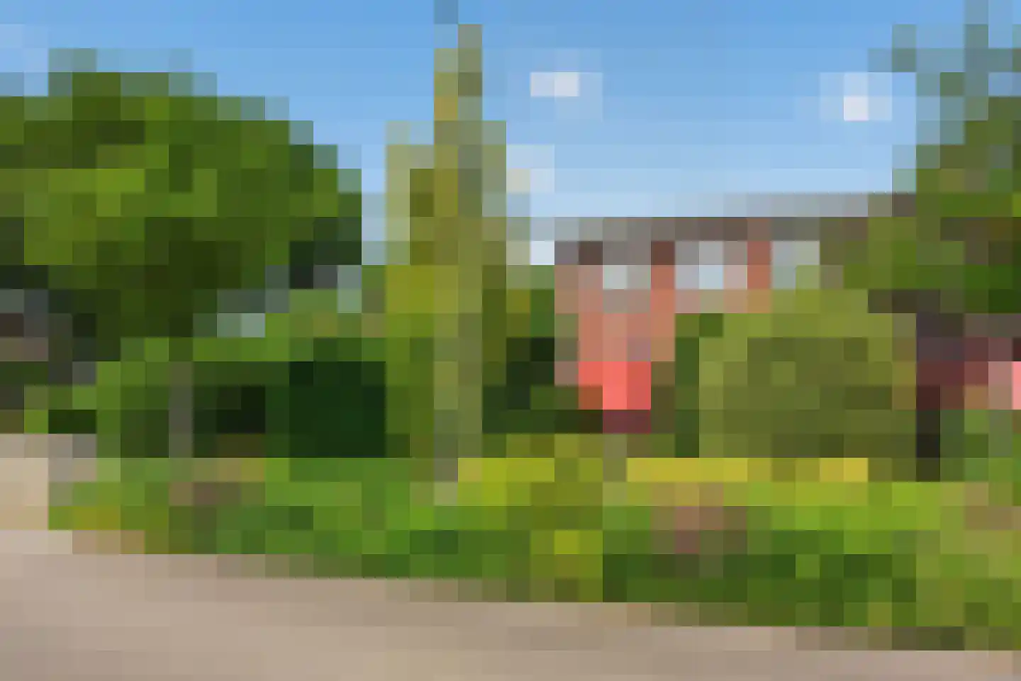 van Hogendorplaan 9 Lochem thumbnail 34