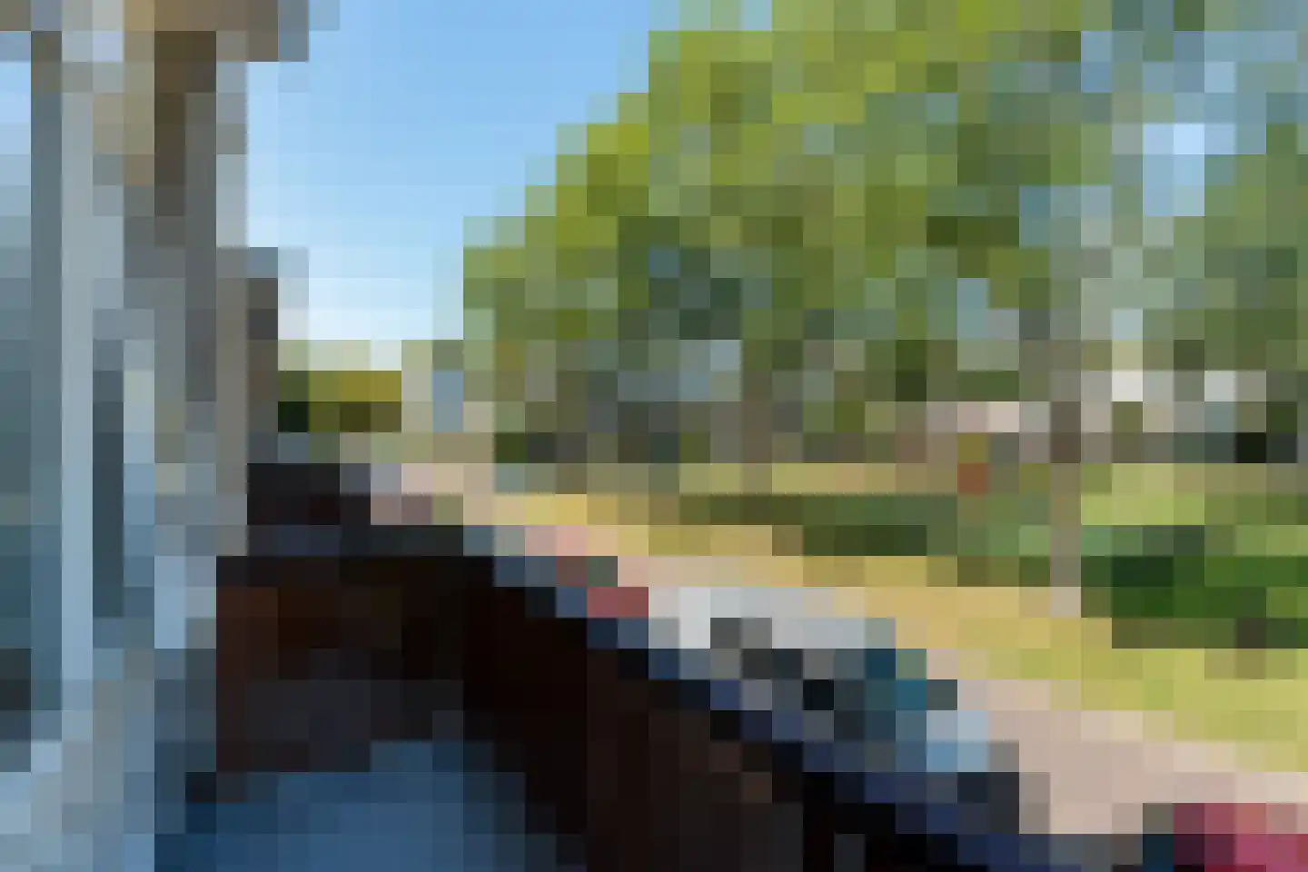 Van Hogendorpplantsoen 31 Dordrecht thumbnail 28