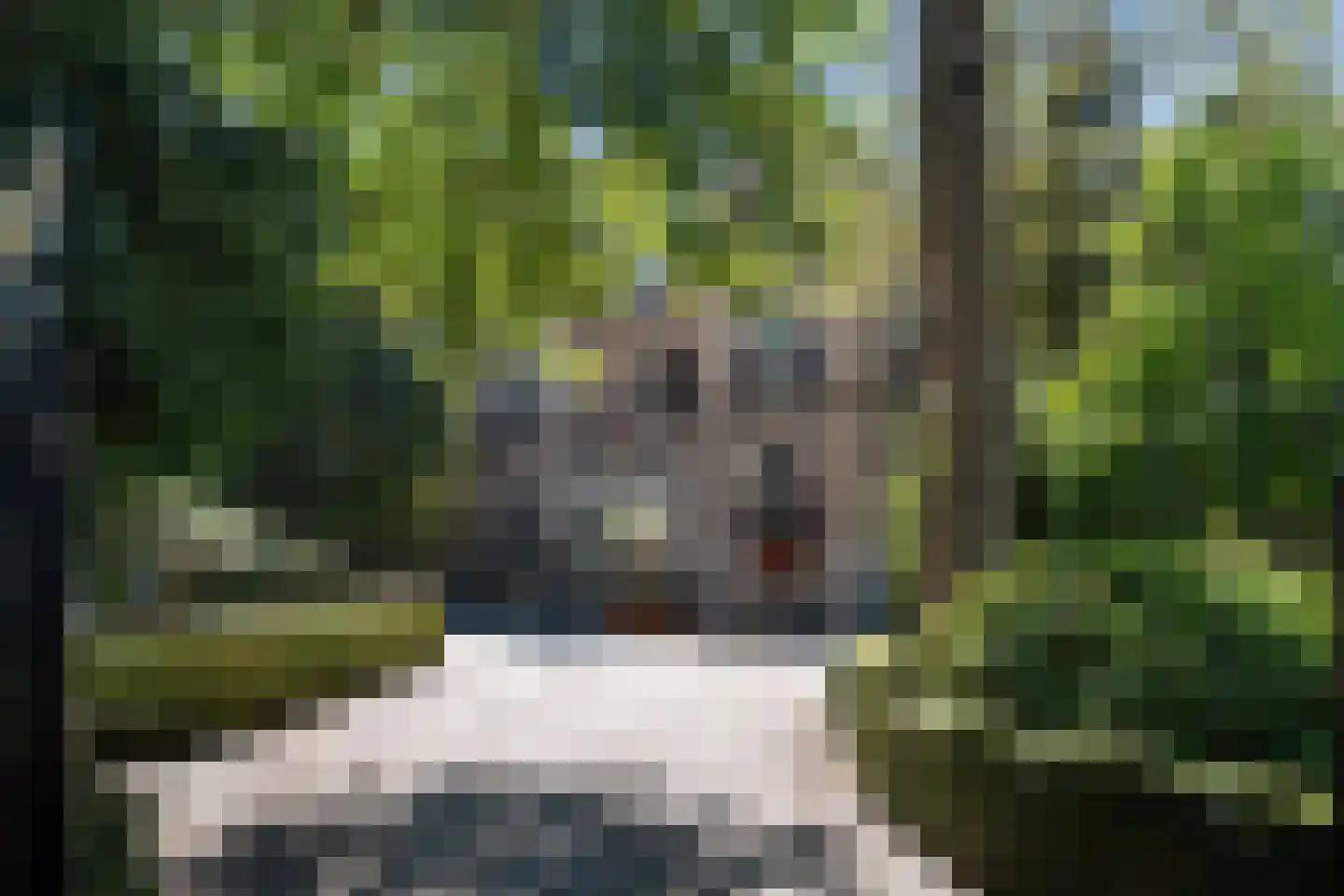 Van Hogendorpplantsoen 31 Dordrecht thumbnail 57