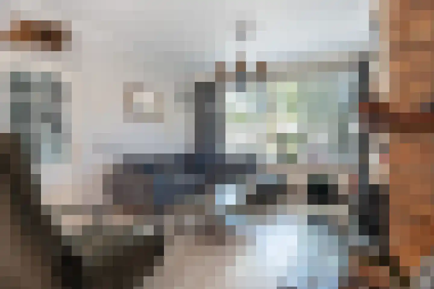 Van Hogendorpplantsoen 31 Dordrecht thumbnail 7