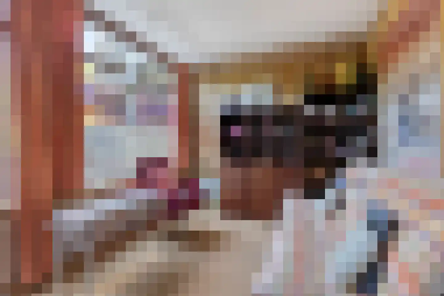 Van Hogendorpplein 12 Goirle thumbnail 10