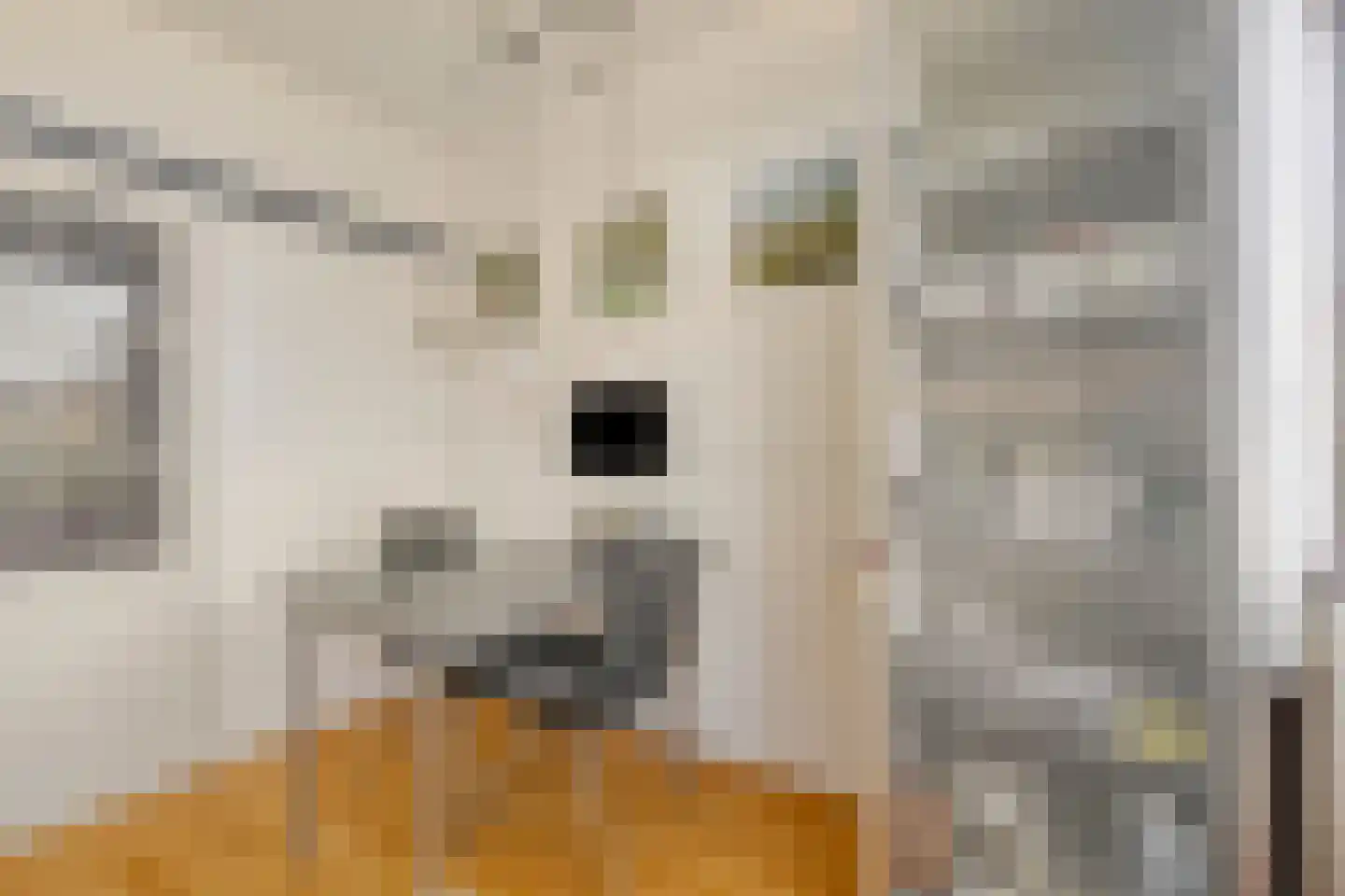 Van Hogendorpplein 12 Goirle thumbnail 18