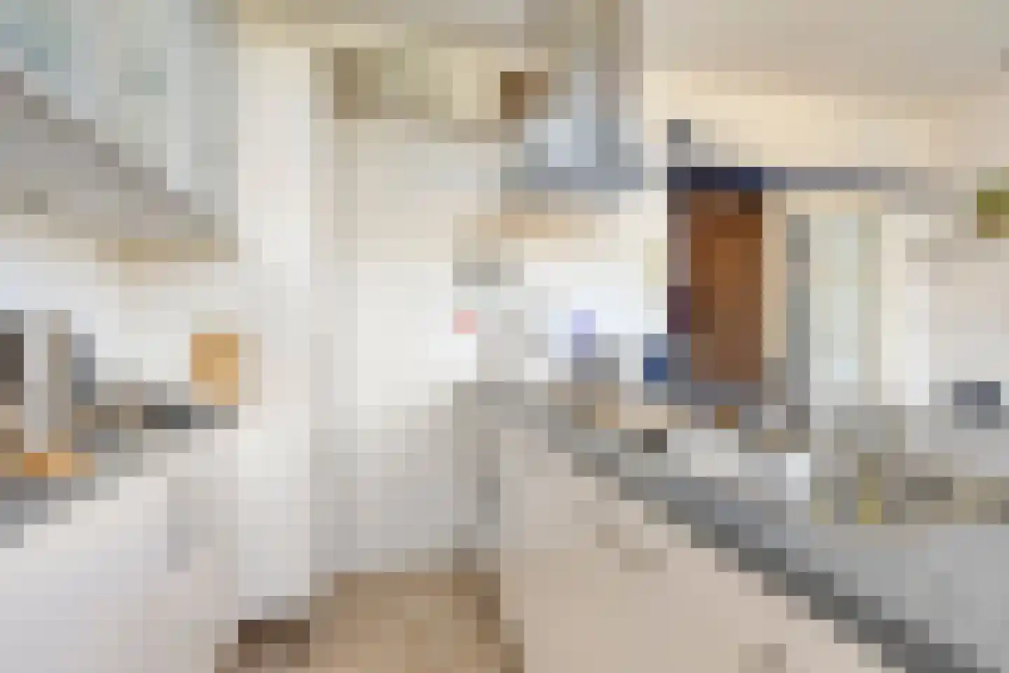 Van Hogendorpplein 12 Goirle thumbnail 19