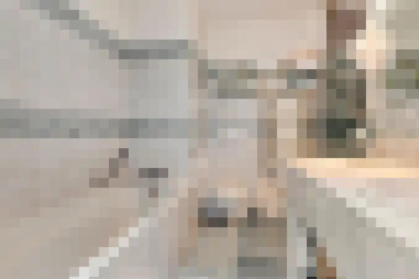 Van Hogendorpplein 12 Goirle thumbnail 23