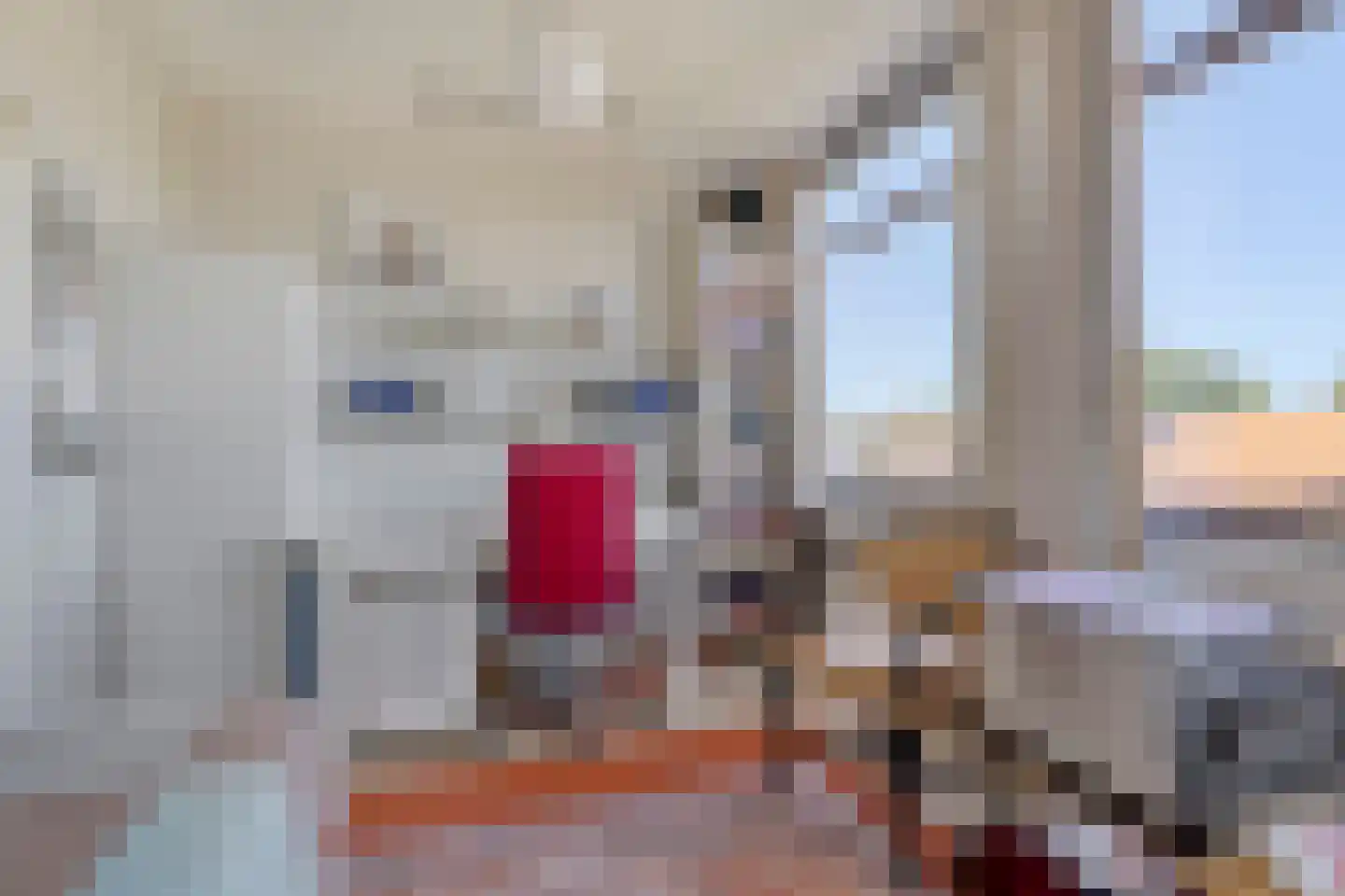 Van Hogendorpplein 12 Goirle thumbnail 28