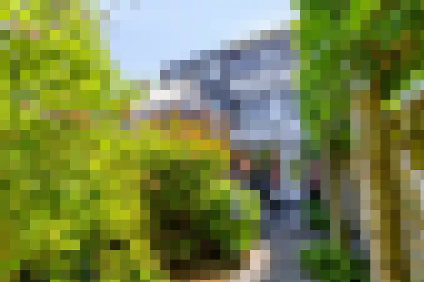 Van Hogendorpplein 12 Goirle thumbnail 31