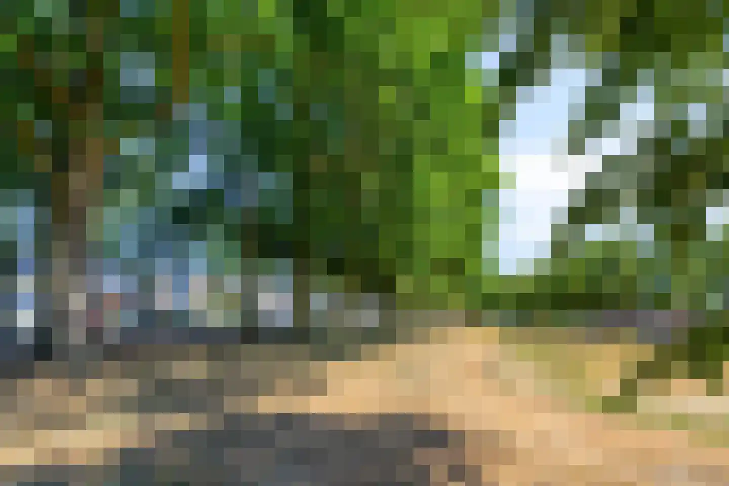 Van Hogendorpplein 12 Goirle thumbnail 35