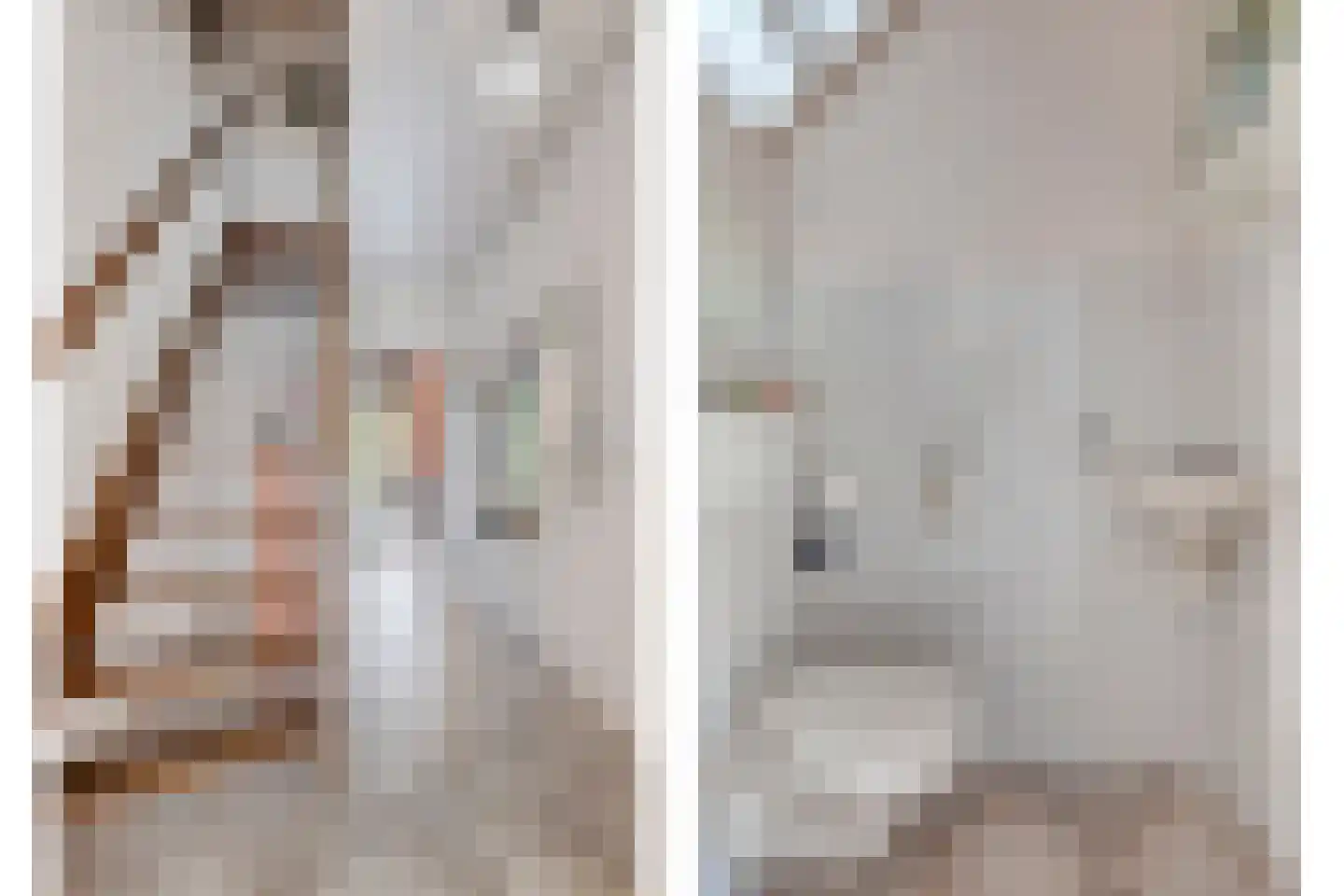 Van Hogendorpplein 12 Goirle thumbnail 6