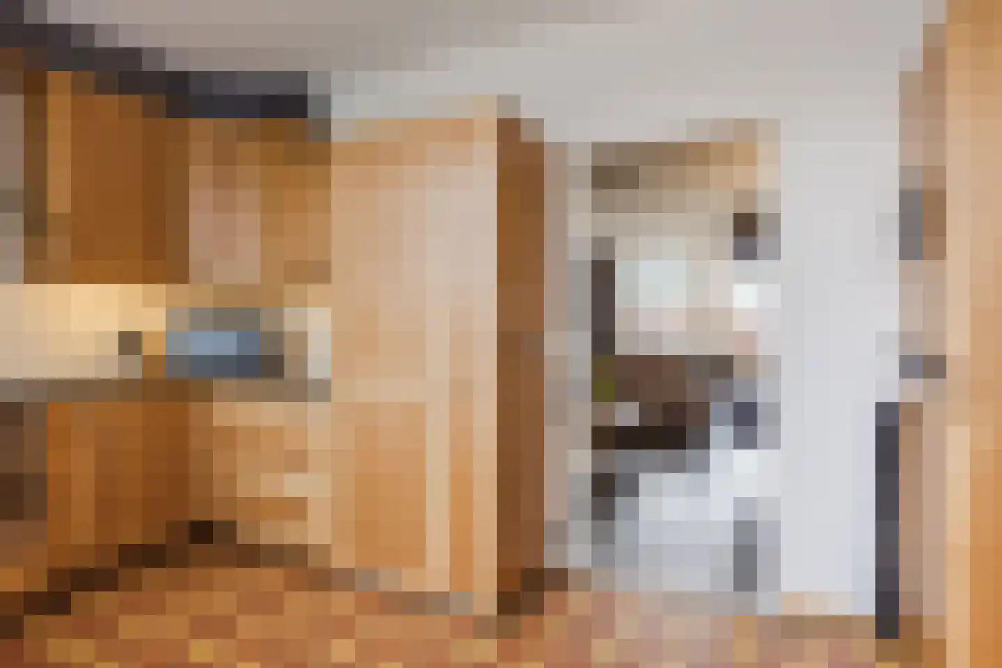 Van Hogendorpplein 25 Goirle thumbnail 8