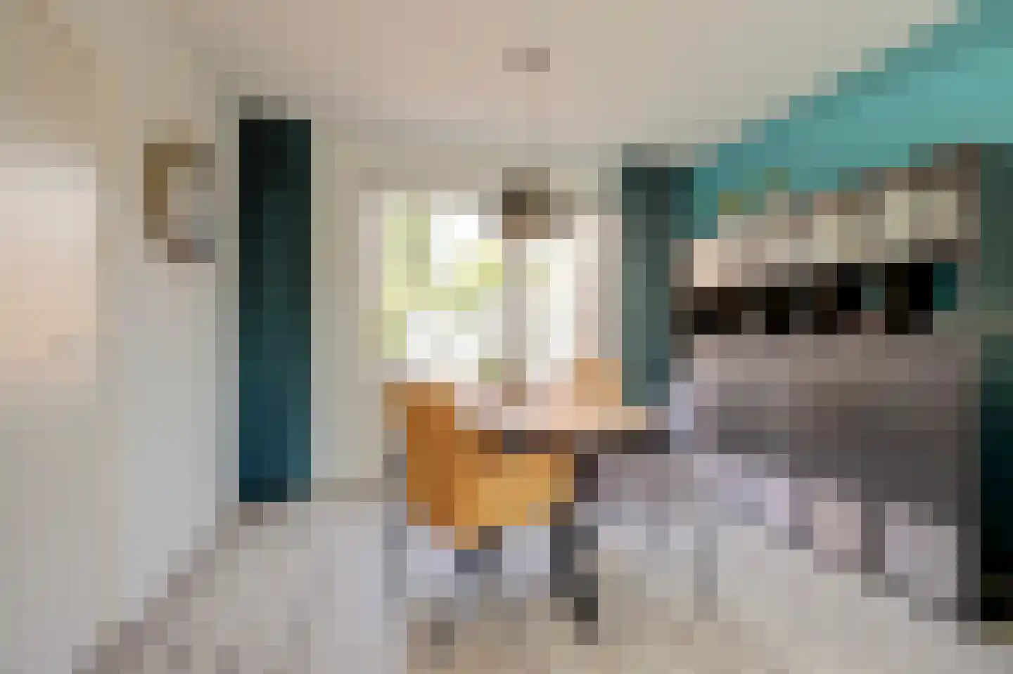 van Hogendorpplein 3 Gouda thumbnail 13