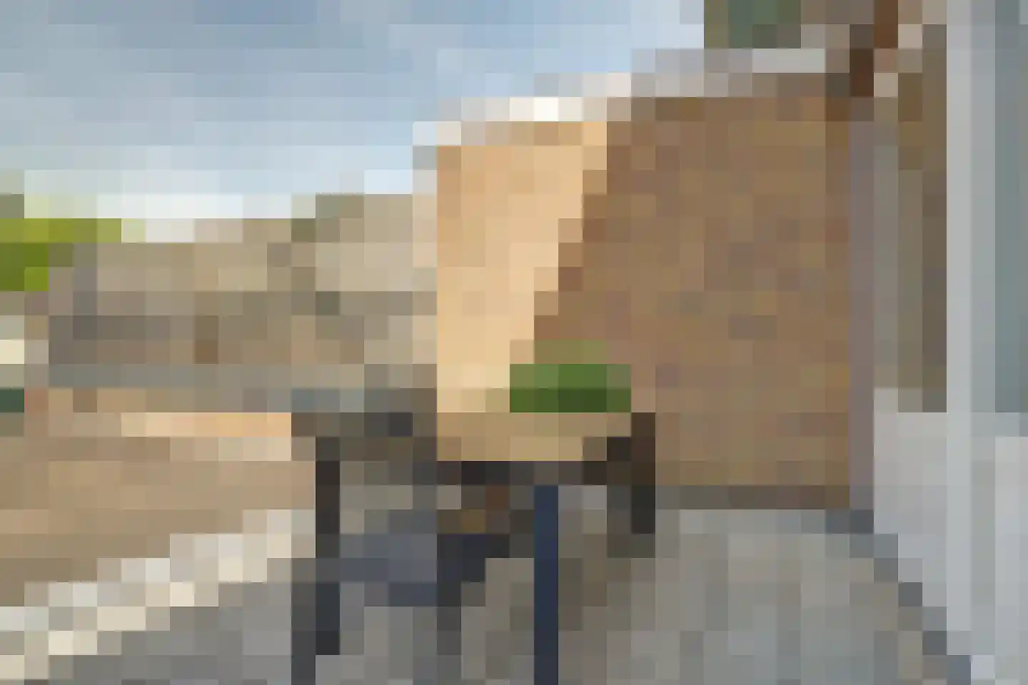 van Hogendorpplein 3 Gouda thumbnail 16