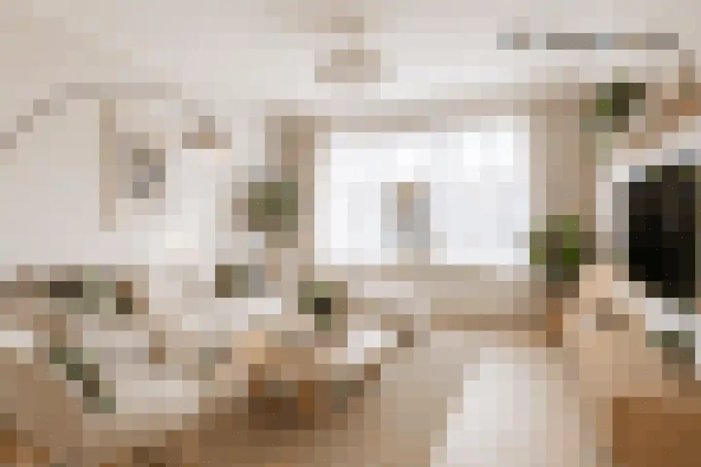 Van Hogendorpplein 45 Goirle thumbnail 15