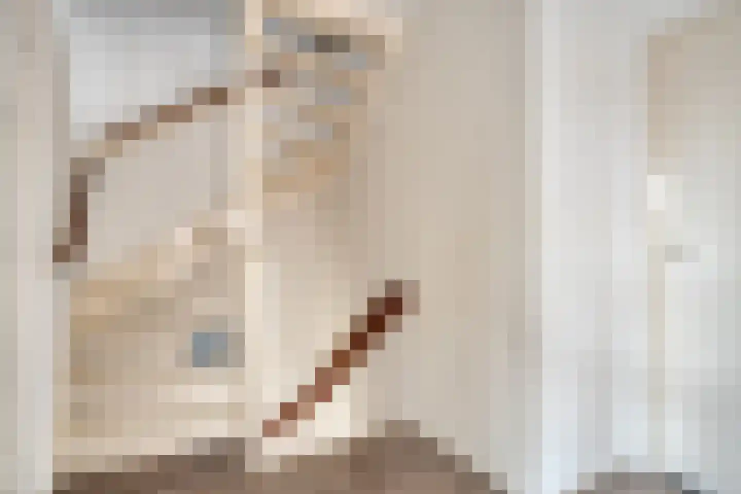 Van Hogendorpplein 45 Goirle thumbnail 20