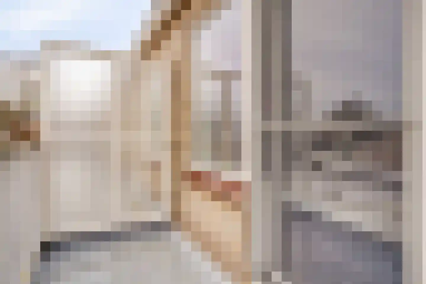 Van Hogendorpplein 45 Goirle thumbnail 23